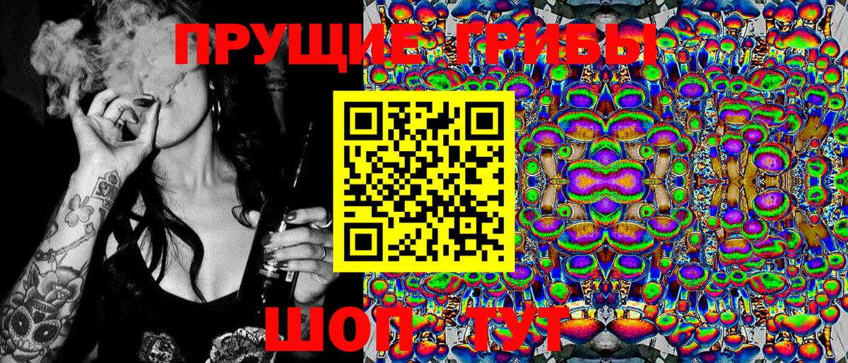 Благодарный  Галлюциногенные грибы Cubensis  Галлюциногенные грибы Psilocybine cubensis  Вход с VPN 